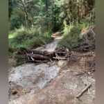 Instalarán módulos para pruebas anti covid en aeropuertos