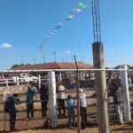 Estima AMLO un crecimiento en la economía del país de 5 por ciento, tras la contracción agravada por la pandemia