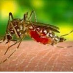 Recibe el DIF Nacional reconocimiento por la Consulta “¿Me Escuchas?” 2022