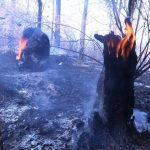 Industria manufacturera presenta su mejor trimestre en ventas en la última década