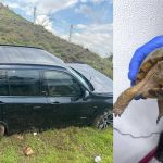 DeSantis amaga con bloqueo naval sobre México para frenar el fentanilo