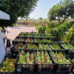 Se desata caos en Francia tras muerte de adolescente a manos de policía