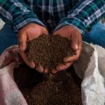 Arranca Ayuntamiento obras en la calle Independencia de la colonia 16 de septiembre Sur