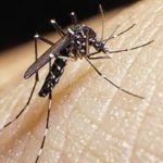 Masa polar del Frente Frío 6 impacta a Puebla