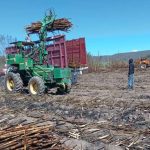 Honduras clama contra el árbitro ante México: “El dinero pesó, fue un robo a mano armada”