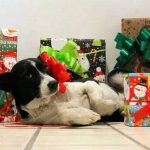 Más de mil migrantes cruzaron por Puebla en este 2023