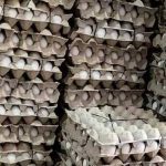 Fiscalía de Venezuela revela confesión de la autora del asesinato del rapero Canserbero