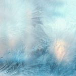 Assange presentará en febrero su recurso final en contra extradición a EU