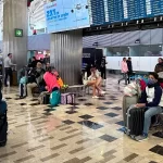 Interpone Instituto de Bienestar Animal 47 denuncias por maltrato animal en 2023