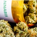 Machine Gun Kelly, novio de Megan Fox presume impactante tatuaje que cubre gran parte de su cuerpo