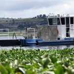 Carnavales en municipios poblanos dejan tres muertos y casi 30 heridos