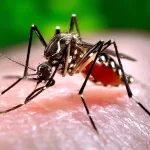 Bajas y dudas de México para la Final de Concacaf Nations League