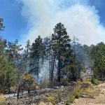 Kalimba revela en Instagram que sufre un importante padecimiento