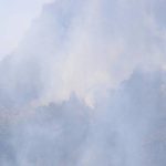 Escasez del chayote provoca un drástico aumento del 250 por ciento en su precio