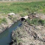 Hamás dice a Trump que espera un “cese inmediato de la agresión” contra Gaza