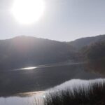 Zaldívar acude a Mañanera: habla del registro para participar en elección de jueces