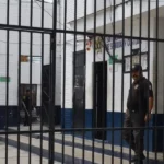 Quién es Liam Lawson, el piloto que ocupará el lugar de “Checo” en Red Bull