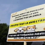 Sheinbaum afirma que INE debe determinar si hay inconsistencias en listas para elección judicial