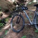 Sheinbaum destaca estabilidad económica en el primer aniversario de su triunfo electoral