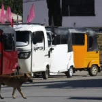 Destinará Italia 15 mil 500 mdd para puente que unirá Sicilia con el continente