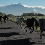 Milei admite desaceleración económica y malestar social