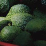 Religión vs. Derechos: La batalla oculta por el aborto en Querétaro