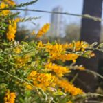 El gigante gasífero de Oriente: Irán y Qatar en la mira de un ataque estratégico